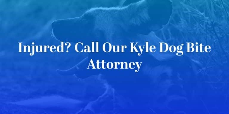 Kyle Dog Bite Lawyer