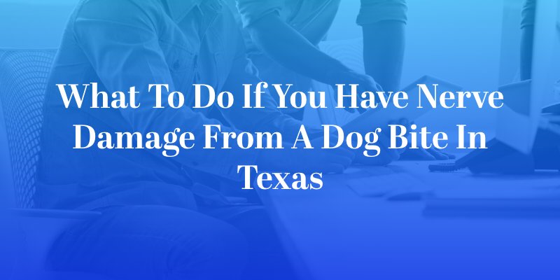 What to Do if You Have Nerve Damage From a Dog Bite in Texas