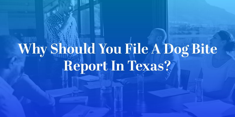 Why Should You File a Dog Bite Report in Texas?