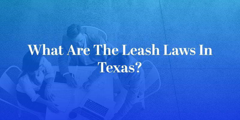 What Are The Leash Laws in Texas?