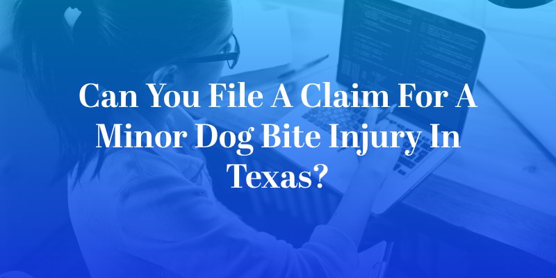 Can You File a Claim for a Minor Dog Bite Injury in Texas?