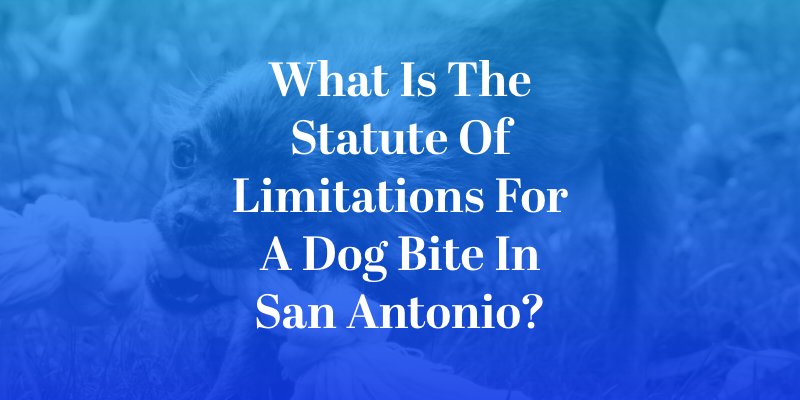 What Is the Statute of Limitations for a Dog Bite in San Antonio?