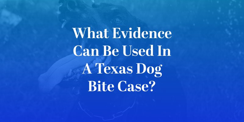 what evidence can be used in a texas dog bite case?