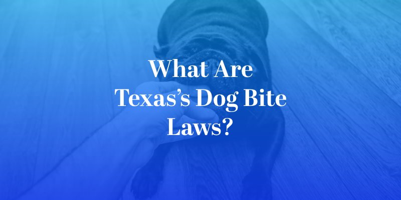 What Are Texas’s Dog Bite Laws?