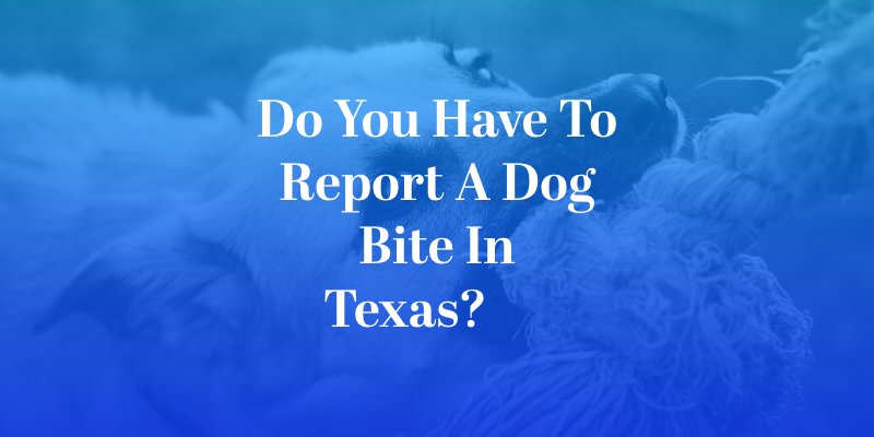 Do You Have to Report a Dog Bite in Texas?      