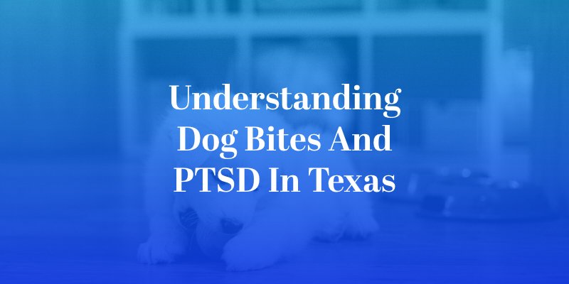 Understanding Dog Bites and PTSD in Texas