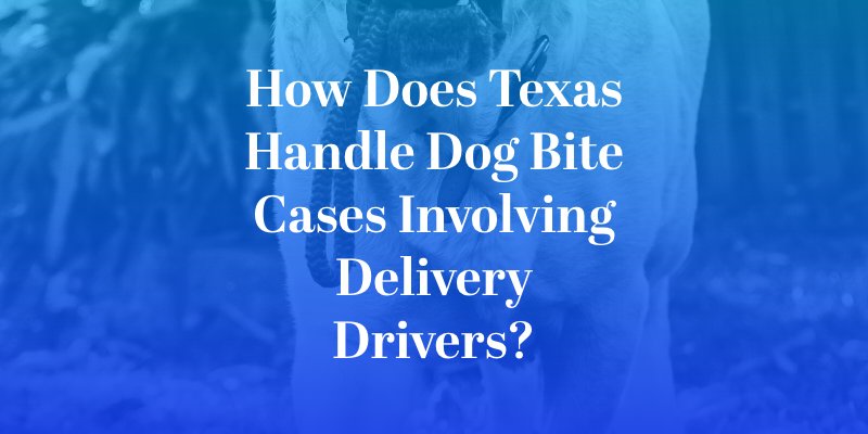How Does Texas Handle Dog Bite Cases Involving Delivery Drivers?