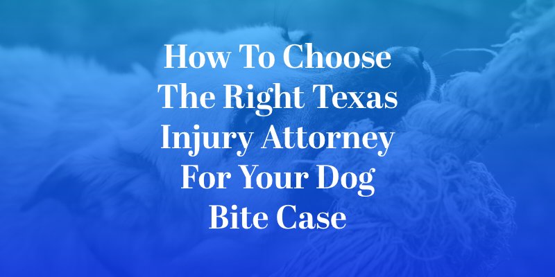 How to Choose the Right Texas Injury Attorney for Your Dog Bite Case