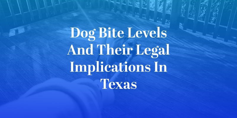 Dog Bite Levels and Their Legal Implications in Texas
